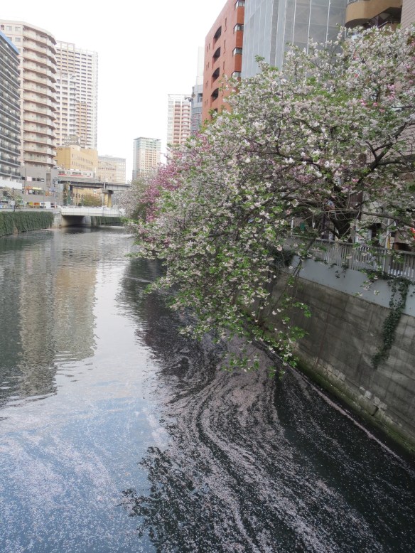 A Rainy Spring Day in Downtown Gotanda, Tokyo